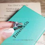 AAA Clone Tiffany Diamond Paved Ring - 925 Silver 
